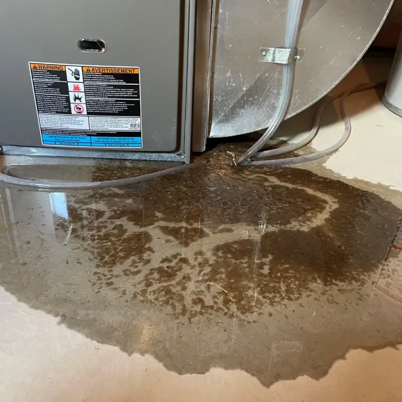 Appliance Leak Cleanup in Flemington, PA